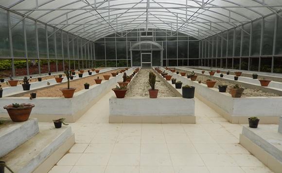 Modern Cactus House of Assam Bio-resource Centre